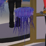 Jellyfish